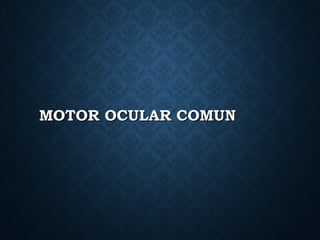 MOTOR OCULAR COMUNMOTOR OCULAR COMUN
 