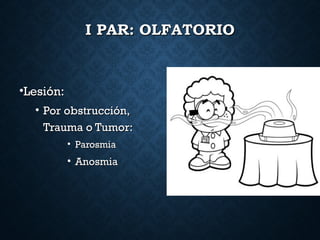 I PAR: OLFATORIOI PAR: OLFATORIO
•Lesión:Lesión:
• Por obstrucción,Por obstrucción,
Trauma o Tumor:Trauma o Tumor:
• ParosmiaParosmia
• AnosmiaAnosmia
 