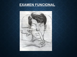 EXAMEN FUNCIONAL
 