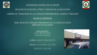 UNIVERSIDAD CENTRAL DEL ECUADOR
FACULTAD DE FILOSOFÍA, LETRAS Y CIENCIAS DE LA EDUCACIÓN
CARRERA DE PEDAGOGÍA DE LAS CIENCIAS EXPERIMENTALES, QUÍMICA Y BIOLOGÍA
FAUNA ECUATORIANA
TEMA: PECES DE CONSUMO PREFERENTE EN LA CIUDAD DE QUITO
MERCADO DE SOLANDA
INTEGRANTES:
LESLY PACHACAMA
CRISTIAN RONDAL
CURSO: QUINTO SEMESTRE “B”
FECHA: 24 DE MAYO DEL 2018
PERÍODO 2018-2018
 