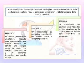Se necesita de una serie de procesos que se acoplan, desde la conformación de la
onda sonora en el aire hasta la percepción sensorial en el lóbulo temporal de la
corteza cerebral:
PRIMERO:
El sonido (movimiento
vibratorio), necesita
para su producción una
fuente emisora de
sonido, una energia
capaz de poner en
marcha la fuente sonora
y un elemento
transmisor que puede
ser aire.
SEGUNDO:
Un mecanismo de
captación y conducción
del sonido hasta el
receptor periférico.
TERCERO:
La transmisión del
estimulo viaja hasta los
centros nerviosos de la
corteza cerebral donde
será convertido en
sensación.
 