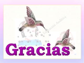 Sensacion y percepion auditiva