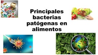 Principales
bacterias
patógenas en
alimentos
 