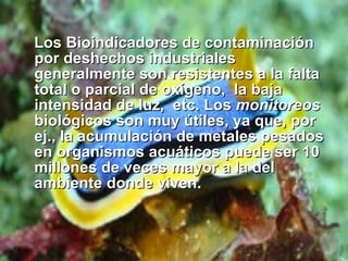 Los Bioindicadores de contaminación por deshechos industriales generalmente son resistentes a la falta total o parcial de oxígeno,  la baja intensidad de luz,  etc. Los  monitoreos  biológicos son muy útiles, ya que, por ej., la acumulación de metales pesados en organismos acuáticos puede ser 10 millones de veces mayor a la del ambiente donde viven.  
