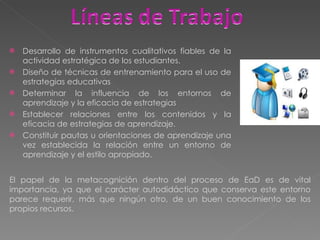 Desarrollo de instrumentos cualitativos fiables de la actividad estratégica de los estudiantes. Diseño de técnicas de entrenamiento para el uso de estrategias educativas Determinar la influencia de los entornos de aprendizaje y la eficacia de estrategias Establecer relaciones entre los contenidos y la eficacia de estrategias de aprendizaje. Constituir pautas u orientaciones de aprendizaje una vez establecida la relación entre un entorno de aprendizaje y el estilo apropiado. El papel de la metacognición dentro del proceso de EaD es de vital importancia, ya que el carácter autodidáctico que conserva este entorno parece requerir, más que ningún otro, de un buen conocimiento de los propios recursos.   