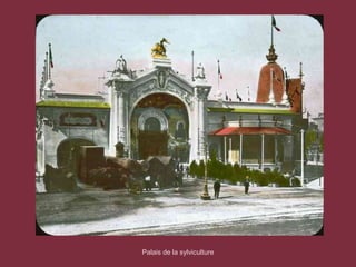 Palais de la sylviculture
 