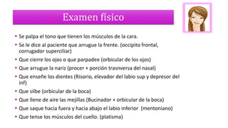 Examen físico
 Se palpa el tono que tienen los músculos de la cara.
 Se le dice al paciente que arrugue la frente. (occipito frontal,
corrugador superciliar)
 Que cierre los ojos o que parpadee (orbicular de los ojos)
 Que arrugue la nariz (procer + porción trasnversa del nasal)
 Que enseñe los dientes (Risorio, elevador del labio sup y depresor del
inf)
 Que silbe (orbicular de la boca)
 Que llene de aire las mejillas (Bucinador + orbicular de la boca)
 Que saque hacia fuera y hacia abajo el labio inferior (mentoniano)
 Que tense los músculos del cuello. (platisma)
 