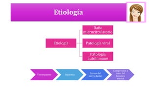 Etiología
Etiología
Daño
microcirculatorio
Patología viral
Patología
autoinmune
Vasoespasmo Isquemia
Edema del
nervio facial
Compresión a
nivel del
foramen
meatal
 