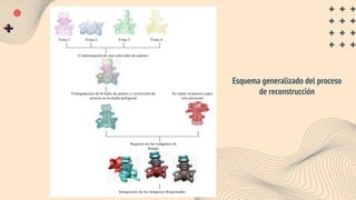 Esquema generalizado del proceso
de reconstrucción
 