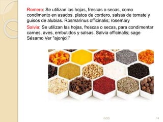 Romero: Se utilizan las hojas, frescas o secas, como
condimento en asados, platos de cordero, salsas de tomate y
guisos de alubias. Rosmarinus officinalis; rosemary
Salvia: Se utilizan las hojas, frescas o secas, para condimentar
carnes, aves, embutidos y salsas. Salvia officinalis; sage
Sésamo Ver "ajonjolí"
GOD 14
 