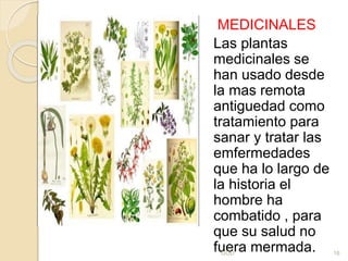 MEDICINALES
Las plantas
medicinales se
han usado desde
la mas remota
antiguedad como
tratamiento para
sanar y tratar las
emfermedades
que ha lo largo de
la historia el
hombre ha
combatido , para
que su salud no
fuera mermada.GOD 16
 