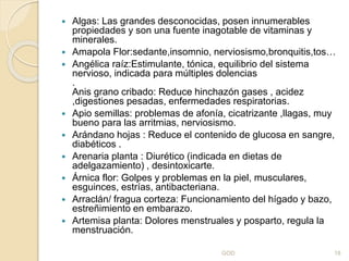  Algas: Las grandes desconocidas, posen innumerables
propiedades y son una fuente inagotable de vitaminas y
minerales.
 Amapola Flor:sedante,insomnio, nerviosismo,bronquitis,tos…
 Angélica raíz:Estimulante, tónica, equilibrio del sistema
nervioso, indicada para múltiples dolencias
.
Anis grano cribado: Reduce hinchazón gases , acidez
,digestiones pesadas, enfermedades respiratorias.
 Apio semillas: problemas de afonía, cicatrizante ,llagas, muy
bueno para las arritmias, nerviosismo.
 Arándano hojas : Reduce el contenido de glucosa en sangre,
diabéticos .
 Arenaria planta : Diurético (indicada en dietas de
adelgazamiento) , desintoxicarte.
 Árnica flor: Golpes y problemas en la piel, musculares,
esguinces, estrías, antibacteriana.
 Arraclán/ fragua corteza: Funcionamiento del hígado y bazo,
estreñimiento en embarazo.
 Artemisa planta: Dolores menstruales y posparto, regula la
menstruación.
GOD 18
 