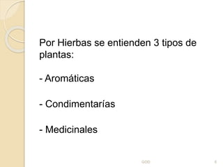 Por Hierbas se entienden 3 tipos de
plantas:
- Aromáticas
- Condimentarías
- Medicinales
GOD 6
 