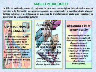 EPISTEMOLÓGICO O
DEL CONOCER
En el plano educativo, este
ámbito supone reconocer el
carácter relativo de los
conocimientos de la cultura
propia, comprender
conocimientos procedentes
de otras tradiciones culturales
y sentar las bases para la
articulación y/o confrontación
de conocimientos de diversas
culturas.
ÉTICO-POLÍTICO O
DEL ELEGIR
En su dimensión ética,
estas relaciones implican
una toma de postura ante
las diversas
culturas, los pueblos y los
individuos que las
configuran. Esto, en el
plano educativo, requiere
de una formación ética..
Lingüístico o de la
comunicación
La cuestión lingüística para
la educación intercultural
implica varios estadios para
el conocimiento, el
reconocimiento y la
valoración de las lenguas
indígenas, y va, como ya
mencionamos, es un
espectro que va de la
sensibilización al
bilingüismo o
multilingüismo.
La EIB se entiende como el conjunto de procesos pedagógicos intencionados que se
orientan a la formación de personas capaces de comprender la realidad desde diversas
ópticas culturales y de intervenir en procesos de transformación social que respeten y se
beneficien de la diversidad cultural.
MARCO PEDAGÓGICO
 