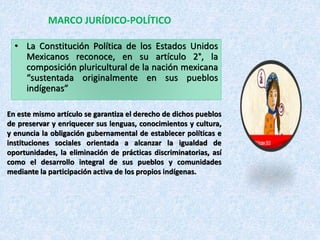 • La Constitución Política de los Estados Unidos
Mexicanos reconoce, en su artículo 2°, la
composición pluricultural de la nación mexicana
“sustentada originalmente en sus pueblos
indígenas”
En este mismo artículo se garantiza el derecho de dichos pueblos
de preservar y enriquecer sus lenguas, conocimientos y cultura,
y enuncia la obligación gubernamental de establecer políticas e
instituciones sociales orientada a alcanzar la igualdad de
oportunidades, la eliminación de prácticas discriminatorias, así
como el desarrollo integral de sus pueblos y comunidades
mediante la participación activa de los propios indígenas.
MARCO JURÍDICO-POLÍTICO
 