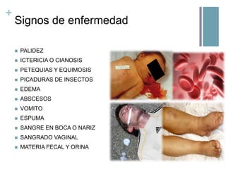 +

Signos de enfermedad


PALIDEZ



ICTERICIA O CIANOSIS



PETEQUIAS Y EQUIMOSIS



PICADURAS DE INSECTOS



EDEMA



ABSCESOS



VOMITO



ESPUMA



SANGRE EN BOCA O NARIZ



SANGRADO VAGINAL



MATERIA FECAL Y ORINA

 