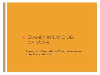 + EXAMEN INTERNO DEL
CADÁVER

Inspección interna del cadáver, debiendo ser
completa y sistemática

 