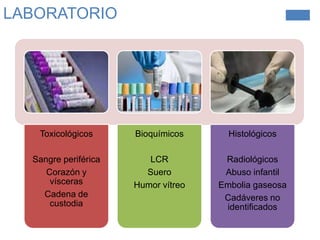 LABORATORIO

Toxicológicos

Bioquímicos

Histológicos

Sangre periférica
Corazón y
vísceras
Cadena de
custodia

LCR
Suero
Humor vítreo

Radiológicos
Abuso infantil
Embolia gaseosa
Cadáveres no
identificados

 