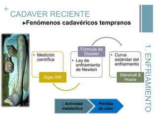 +

CADAVER RECIENTE
Fenómenos cadavéricos tempranos

• Ley de
enfriamiento
de Newton

• Curva
estándar del
enfriamiento
Marshall &
Hoare

Siglo XIX

↓ Actividad
metabólica

Pérdida
de calor

1. ENFRIAMIENTO

• Medición
científica

Fórmula de
Glaister

 