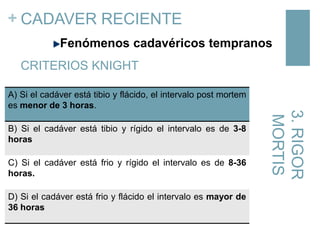 + CADAVER RECIENTE
Fenómenos cadavéricos tempranos
CRITERIOS KNIGHT

B) Si el cadáver está tibio y rígido el intervalo es de 3-8
horas
C) Si el cadáver está frio y rígido el intervalo es de 8-36
horas.
D) Si el cadáver está frio y flácido el intervalo es mayor de
36 horas

3. RIGOR
MORTIS

A) Si el cadáver está tibio y flácido, el intervalo post mortem
es menor de 3 horas.

 