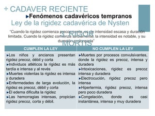 + CADAVER RECIENTE
Fenómenos cadavéricos tempranos

Ley de la rigidez cadavérica de Nysten
“Cuando la rigidez comienza precozmente, es de intensidad escasa y duración
limitada. Cuando la rigidez comienza tardíamente, la intensidad es notable, y su
duración prolongada”
CUMPLEN LA LEY

3. RIGOR
MORTIS

Los niños y ancianos presentan
rigidez precoz, débil y corta
Individuos atléticos la rigidez es más
tardía e intensa y al revés
Muertes violentas la rigidez es intensa
y duradera
Enfermedades de larga evolución, la
rigidez es precoz, débil y corta
El edema dificulta la rigidez
Las hemorragias intensas, propician
rigidez precoz, corta y débil.

NO CUMPLEN LA LEY

Muertes por procesos convulsivantes,
donde la rigidez es precoz, intensa y
duradera
Intoxicaciones, rigidez es precoz
intensa y duradera
Electrocución, rigidez precoz pero
intensa
Hipertermia, rigidez precoz, intensa
pero poco duradera
Congelación,
donde
es
casi
instantánea, intensa y muy duradera

 