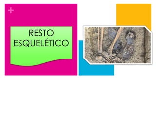 +
RESTO
ESQUELÉTICO

 
