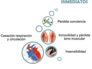 INMEDIATOS

Pérdida conciencia

Cesación respiración
y circulación

Inmovilidad y pérdida
tono muscular

Insensibilidad

 