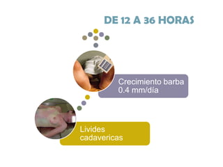 DE 12 A 36 HORAS

Crecimiento barba
0.4 mm/día

Livides
cadavericas

 