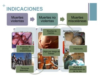 +

INDICACIONES
Muertes
violentas

Muertes
Homicidios
súbitas

Producto de
abortos
sospechosos

Personas
detenidas…

Muertes no
violentas
Sin atención
Muertes de
médica
madres…
Suicidios
adecuada <24
hrs

Muertes
misceláneas
Acontecieron
condiciones
Accidentes
sospechosas

Infanticidio
Litigio por riesgo de
trabajo

Muerte en
procedimiento qx,
dx, tx, mx.

 