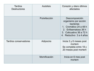 Tardíos
Destructores

Corazón y útero últimos
afectados

Putrefacción

Tardíos conservadores

Autolisis

Descomposición
organismo por acción
bacterias
1. Cromático 24 a 48 h
2. Enfisematoso 36 h
3. Colicuativo 36 a 72 h
4. Reductivo 3 a 4 años

Adipocira

Inicia 3 y 6 meses post
mortem
Se completa entre 18 y
20 meses post mortem

Momificación

Inicia en 6 mes post
mortem

 