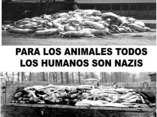 Conclusión:La naturaleza funciona como un todo armonioso. Cualquier alteración en uno de sus componentes, afecta el equilibrio ecológico.  La extinción de especies animales o la disminución en su número, provoca una variación drástica en la cantidad de otras especies pertenecientes a la flora y fauna.  Este hecho produce entre ellas una relación de competencia que lleva a la desaparición de unas especies, al aumento de otras y, en consecuencia, al rompimiento del delicado equilibrio de la naturaleza.