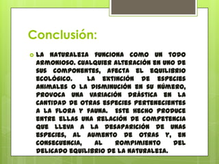 Videosalvemonos juntos.avi