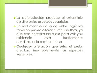Efectos del deterioro de la floraSobre los seres vivosEl exterminio de las especies vegetales determina una disminución de la cantidad del oxígeno producido por la fotosíntesis, lo que afecta las cadenas tróficas.  Los vegetales son organismos productores de materia orgánica y alimento en las comunidades biológicas; por lo mismo, la carencia de la flora incide en el desarrollo de la vida