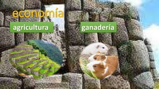 economía
agricultura ganadería
 