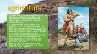 agricultura
• La agricultura incaica son el conjunto de
técnicas y saberes utilizados en el
territorio del Tahuantinsuyo por los
pobladores del Imperio Incaico para
cultivar la tierra.
• Al desarrollarse en los andes una
sociedad predominantemente agrícola,
los incas supieron aprovechar al máximo
el suelo, venciendo las adversidades que
les ofrecía el accidentado terreno andino
y las inclemencias del clima. La
adaptación de técnicas agrícolas que ya
se empleaban con anterioridad en
distintas partes, permitió a los incas
organizar la producción de diversos
productos, tanto de
la costa, sierra y selva, para poder
redistribuirlos a pueblos que no tenían
acceso a otras regiones
 