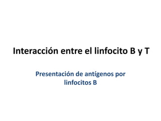 Interacción entre el linfocito B y T
Presentación de antígenos por
linfocitos B
 