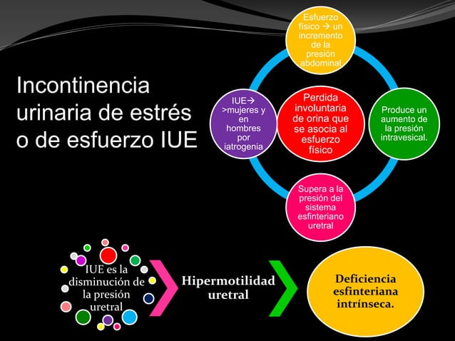 Incontinencia urinaria en el adulto mayor