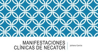MANIFESTACIONES
CLÍNICAS DE NECATOR
Juliana García
 