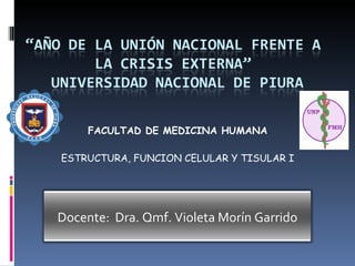 FACULTAD DE MEDICINA HUMANA ESTRUCTURA, FUNCION CELULAR Y TISULAR I Docente:  Dra. Qmf. Violeta Morín Garrido 