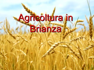 Agricoltura inAgricoltura in
BrianzaBrianza
 