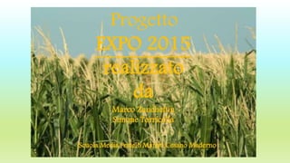 Progetto
EXPO 2015
realizzato
da
Marco Zanchettin
Simone Torricella
Scuola Media Fratelli Maristi Cesano Maderno
 