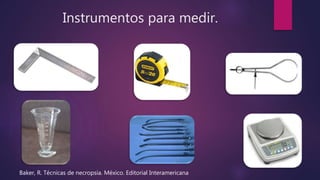 Autopsia fetal, instrumentos, toma de muestras, fotografia | PPTX