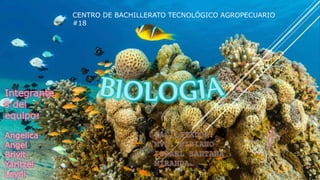 CENTRO DE BACHILLERATO TECNOLÓGICO AGROPECUARIO
#18
 