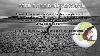 Durante los últimos cien años el hombre ha acelerado el
ritmo de extinción 1000 veces respecto al ritmo natural,
estimándose que actualmente se extinguen unas
30.000 especies al año
La pérdida de biodiversidad junto con el cambio climático
son dos de los problemas más importantes a los que se
enfrenta la humanidad
 
