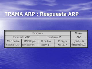 TRAMA ARP : Respuesta ARP
 