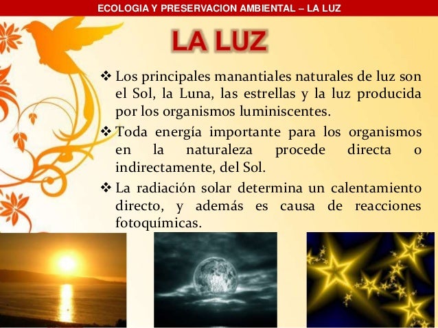 Expo 4 la luz