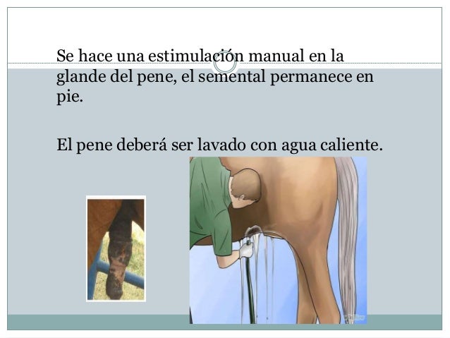 Por qué un pequeño miembro de la secadora