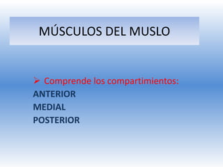 MÚSCULOS DEL MUSLO


 Comprende los compartimientos:
ANTERIOR
MEDIAL
POSTERIOR
 