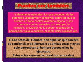 1) Meramente naturales: los que proceden de las
potencias vegetativas y sensitivas, sobre las que el
hombre no tiene control voluntario alguno, y son
comunes con los animales: por ejemplo, la
nutrición, circulación de la sangre, respiración, la
percepción visual o auditiva, el sentir dolor o placer, etc.
Pueden ser también:
2) Los Actos del Hombre: son aquellos que carecen
de conciencia o de libertad o de ambas cosas y estos
solo pertenecen al hombre porque él los ha
ejecutado.
Estos actos carecen de moral (son amorales).
 