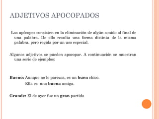 ADJETIVOS APOCOPADOS

Las apócopes consisten en la eliminación de algún sonido al final de
 una palabra. De ello resulta una forma distinta de la misma
 palabra, pero regida por un uso especial.


Algunos adjetivos se pueden apocopar. A continuación se muestran
  una serie de ejemplos:



Bueno: Aunque no lo parezca, es un buen chico.
       Ella es una buena amiga.


Grande: El de ayer fue un gran partido
 